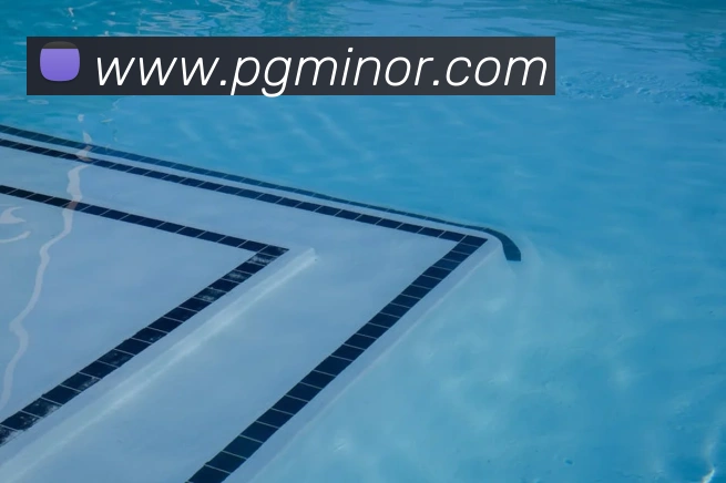 pg模拟器发展历程